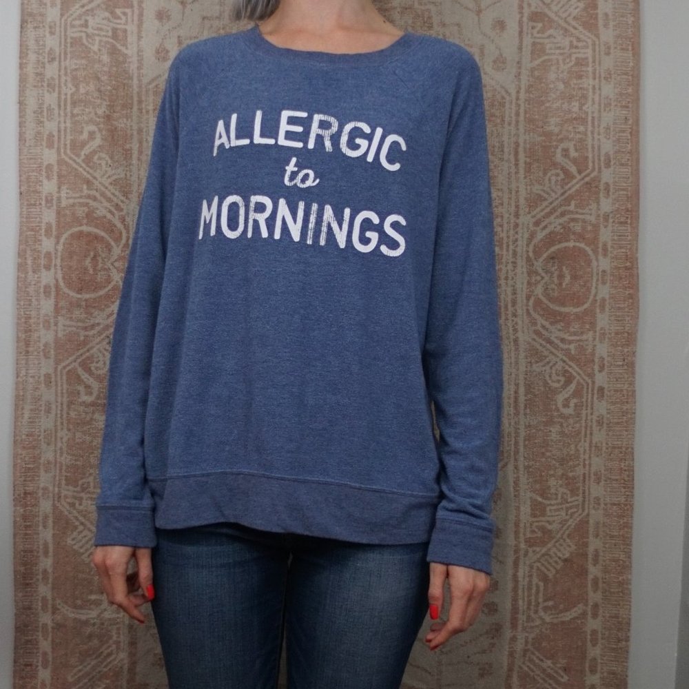 ⭐anthropology allergic to mornings sweater